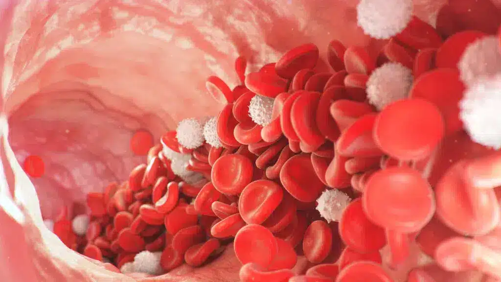 سلولهای قرمز (RBC)، سفید (WBC)، پلاکتها (PLT)